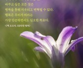 세상을 바꾸는 마지막 방법