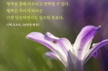 202302메시지카드4