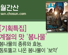 r_월간산_약이 되는 우리풀·꽃·나무201404
