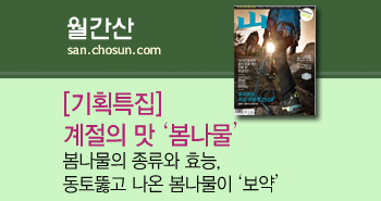 r_월간산_약이 되는 우리풀·꽃·나무201404