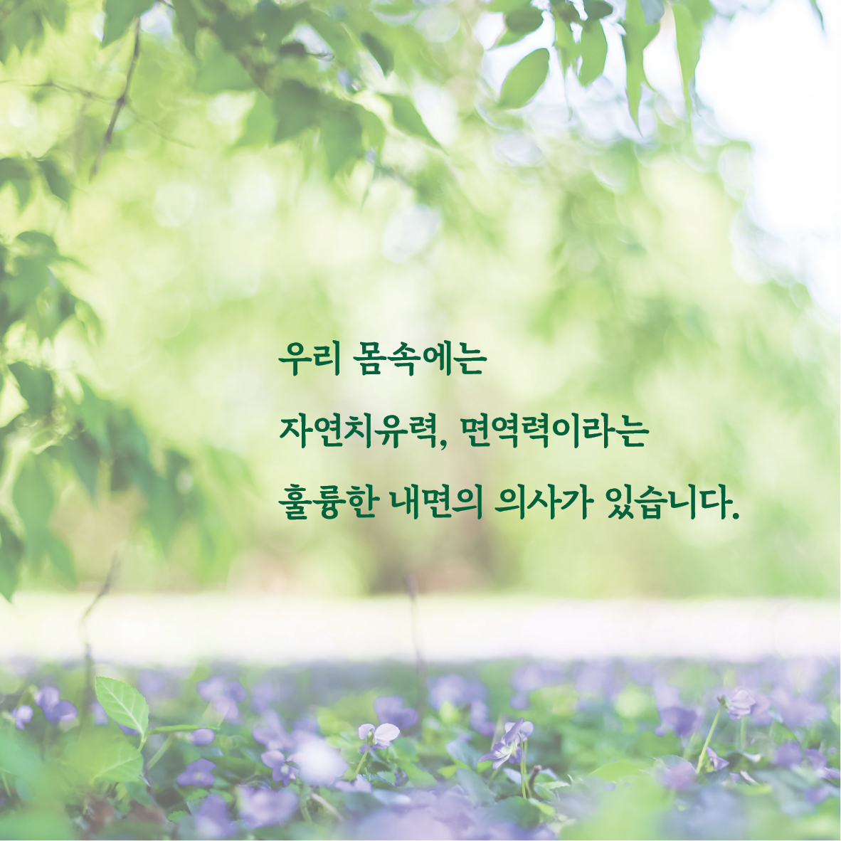 수승화강 카드뉴스1차4