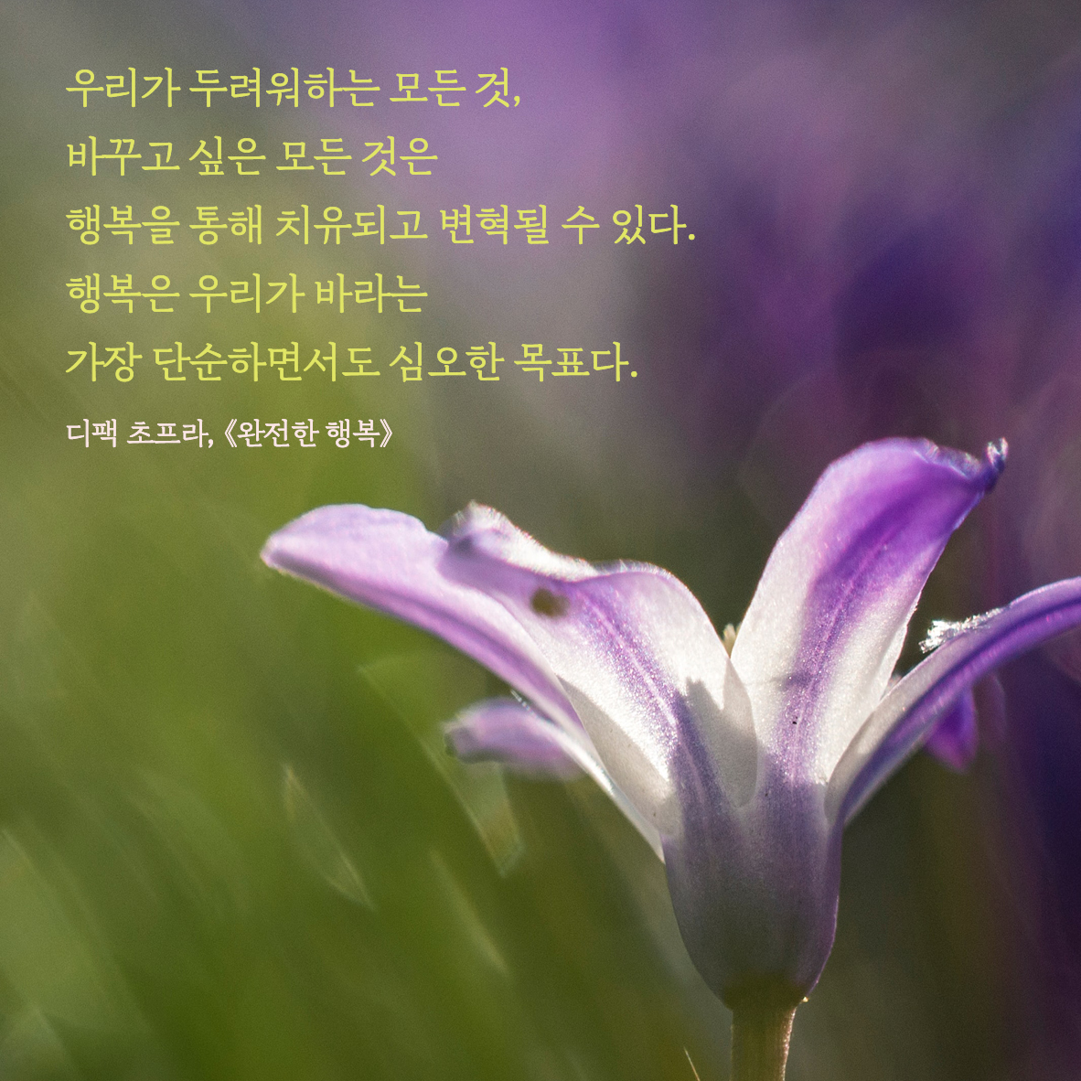 202302메시지카드4
