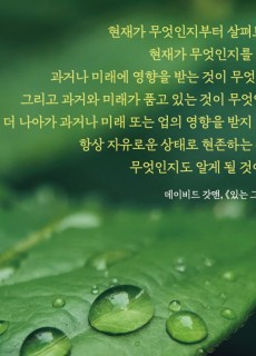 KakaoTalk_20230731_110734101_06