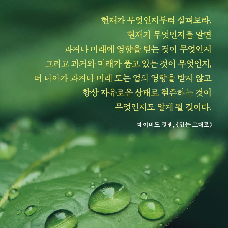 KakaoTalk_20230731_110734101_06