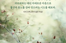 11월메시지카드10