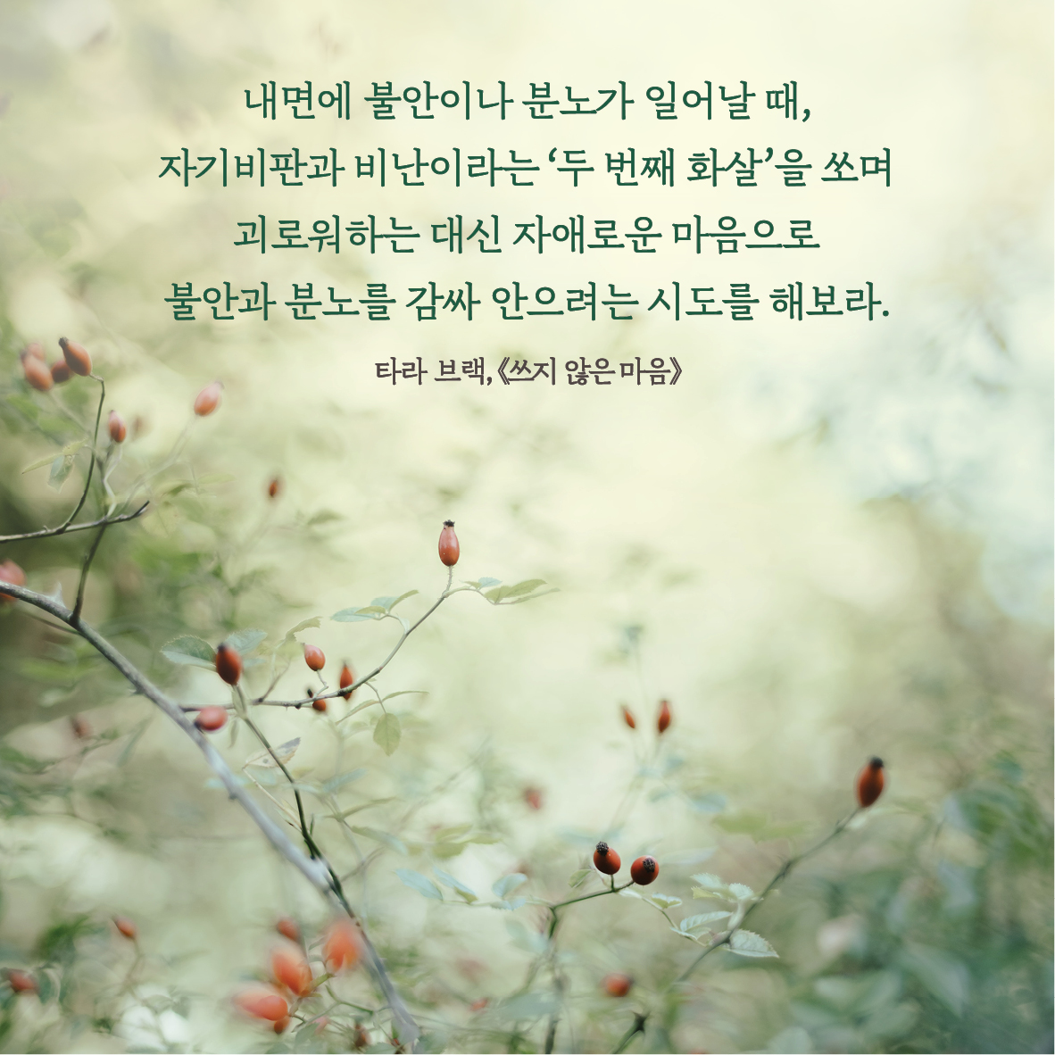 11월메시지카드10